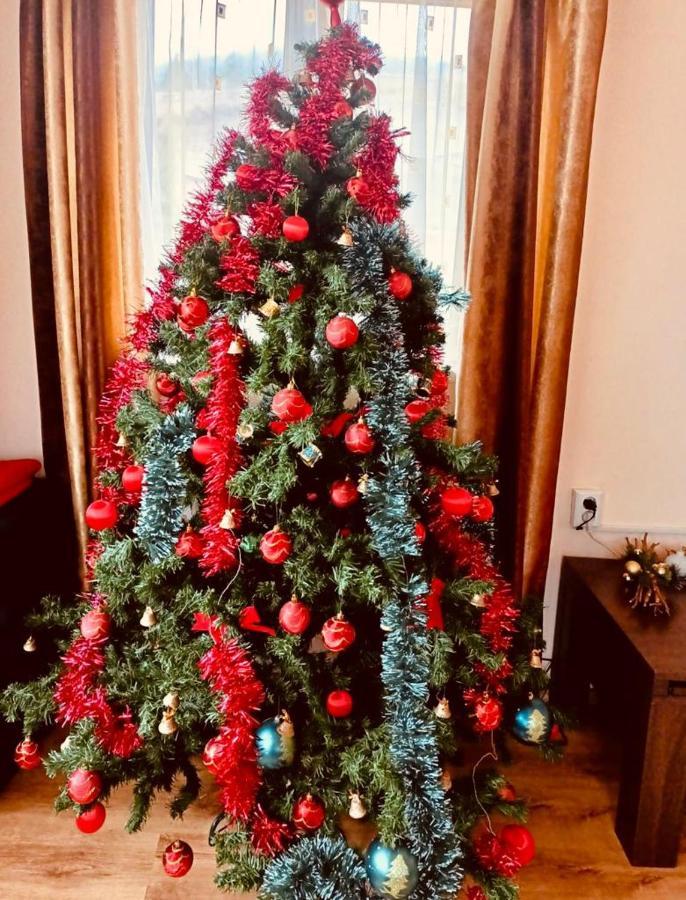 Casa De Vacanta Elena Σινάια Εξωτερικό φωτογραφία