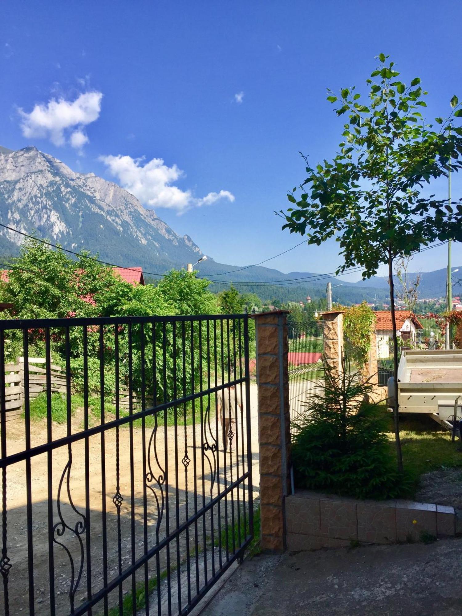 Casa De Vacanta Elena Σινάια Εξωτερικό φωτογραφία